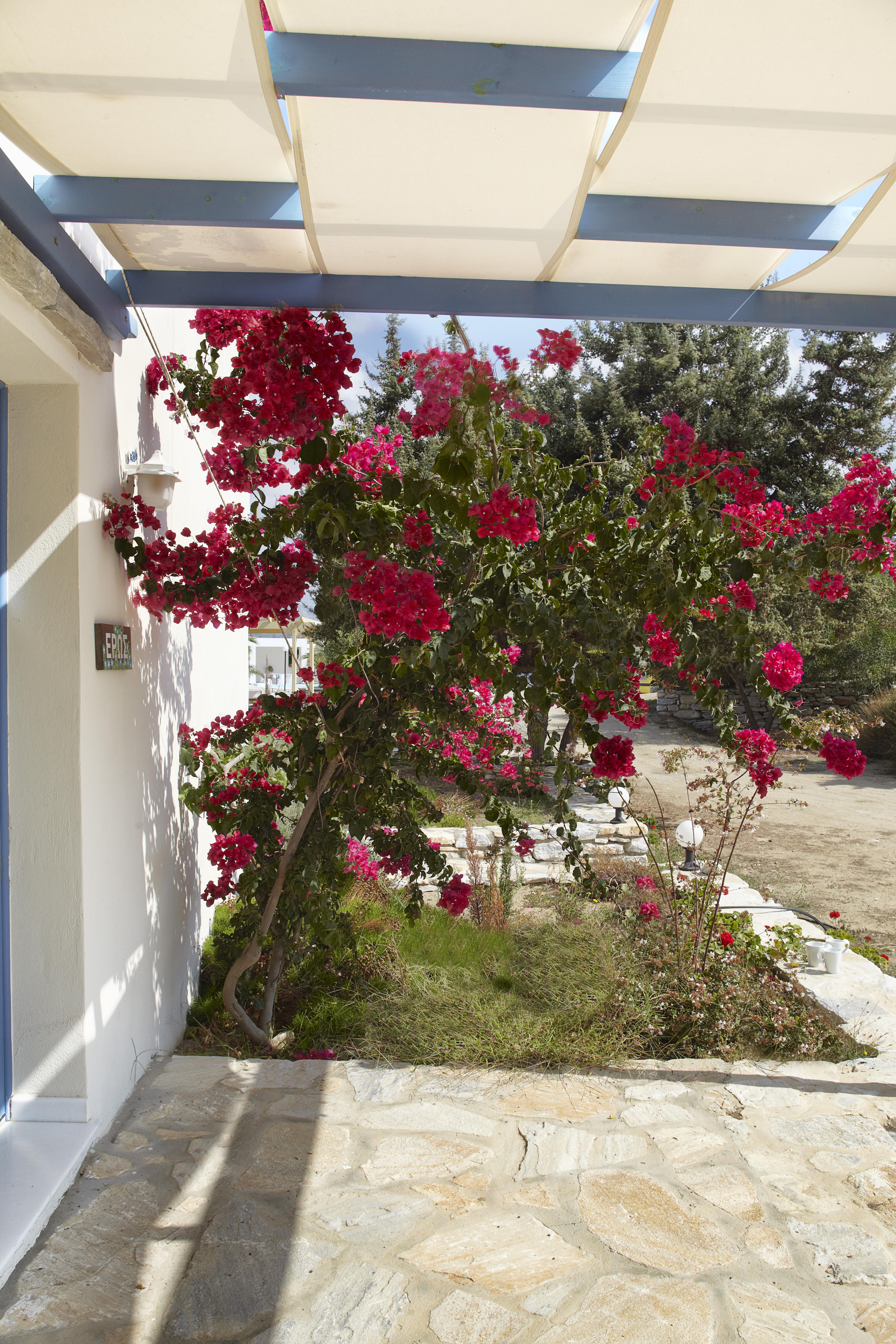 Kedros Villas Agios Prokopios (Naxos) Exterior foto