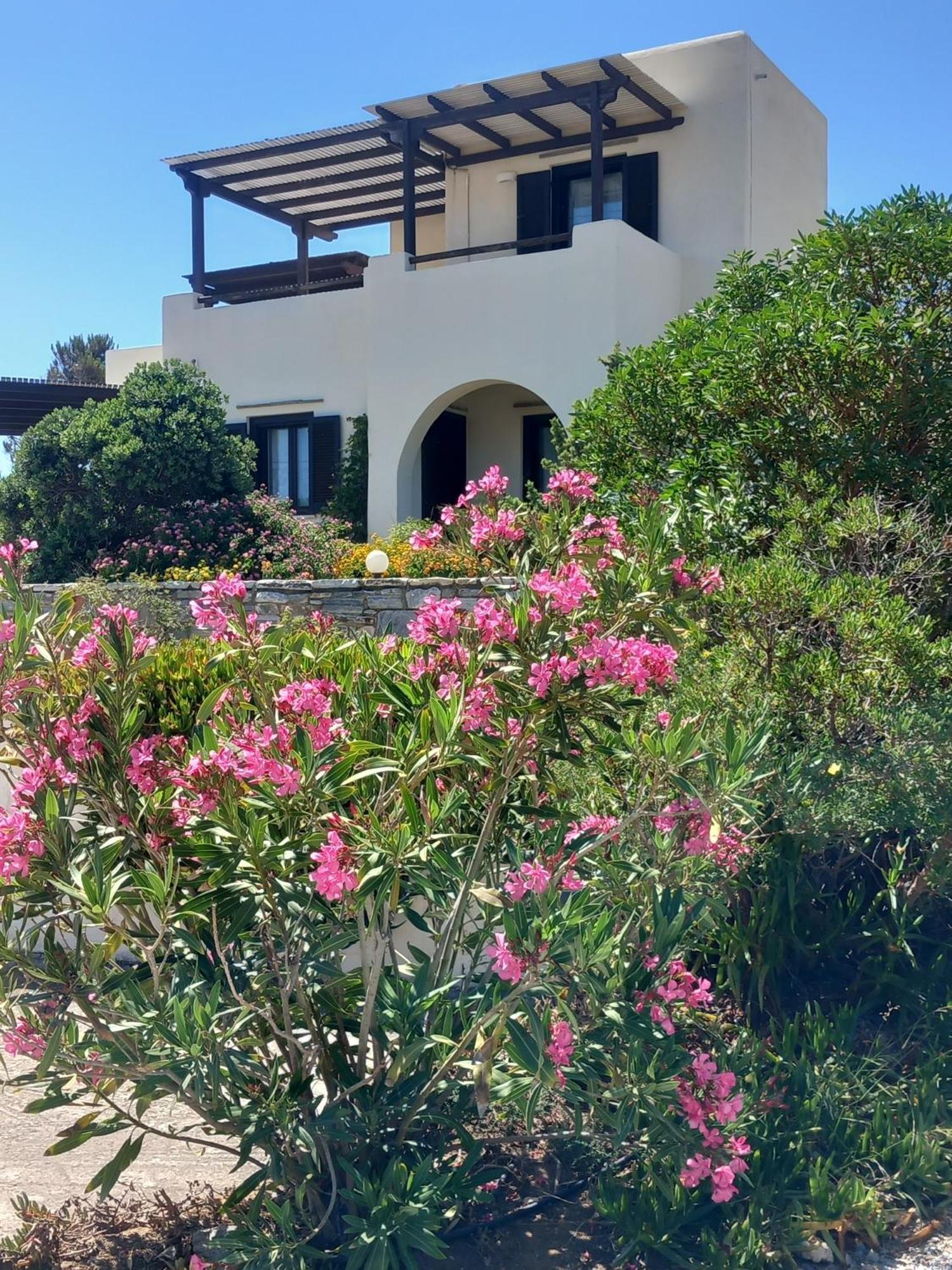 Kedros Villas Agios Prokopios (Naxos) Exterior foto