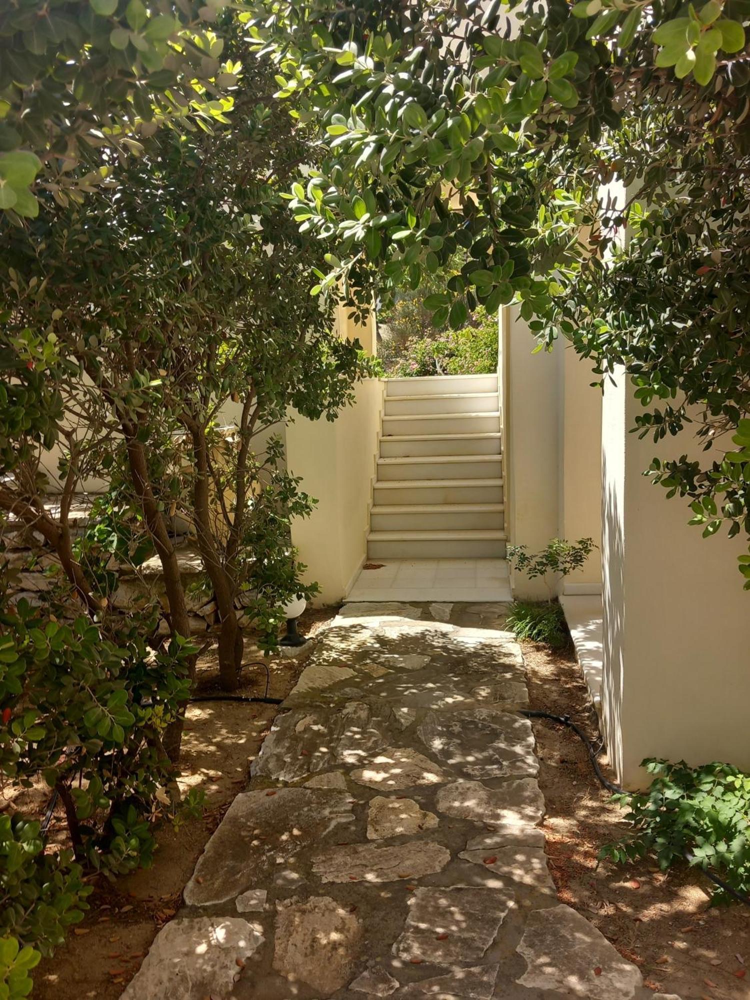 Kedros Villas Agios Prokopios (Naxos) Exterior foto