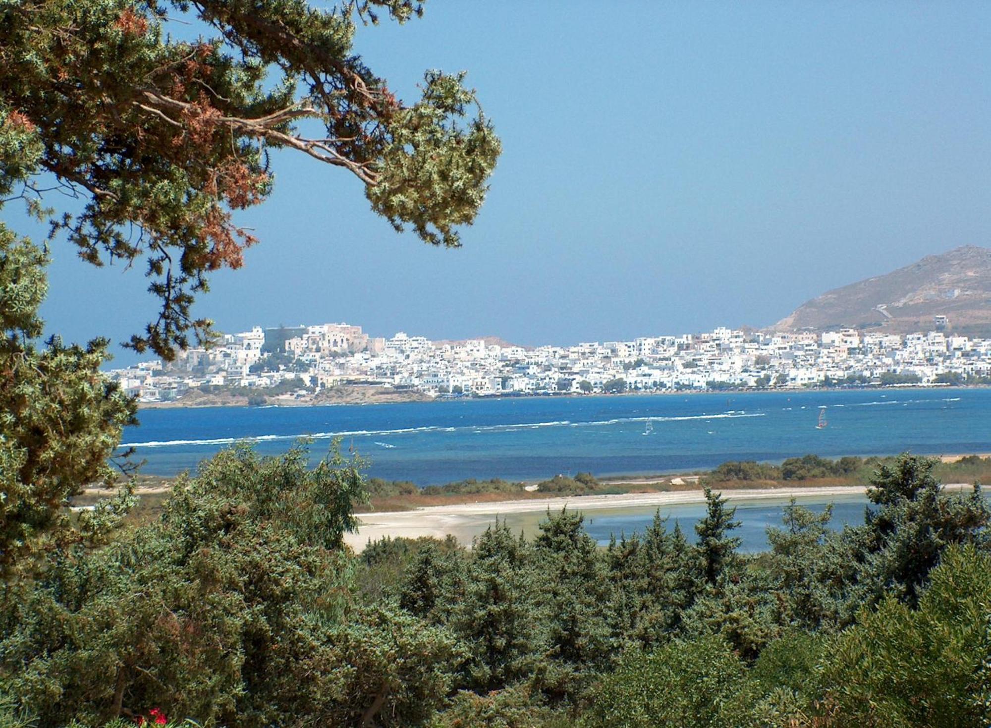 Kedros Villas Agios Prokopios (Naxos) Exterior foto