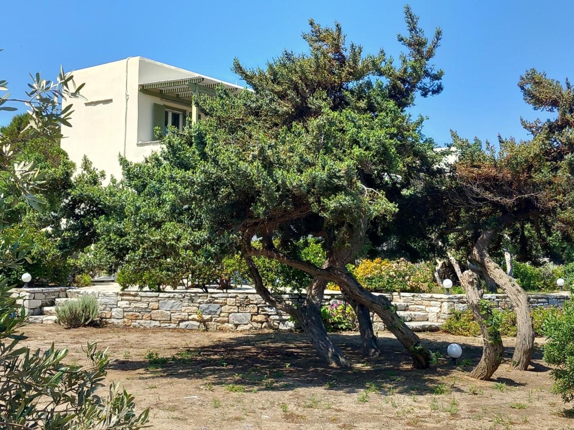 Kedros Villas Agios Prokopios (Naxos) Exterior foto